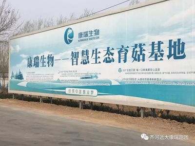 心中有光，眼底有海 10月