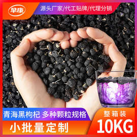 寧夏黑枸杞 珍稀食用農(nóng)產(chǎn)品的營養(yǎng)與價值