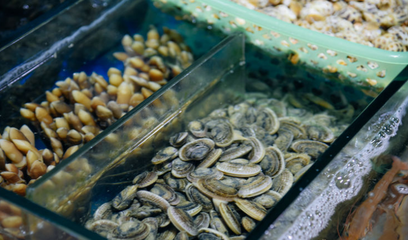 三亞旅游必打卡 第一市場海鮮琳瑯滿目，周邊加工川味一條街體驗(yàn)獨(dú)特海產(chǎn)品加工