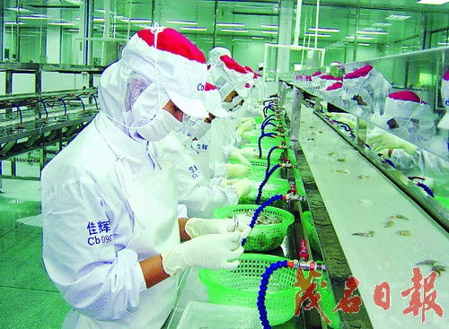 工業立縣 建設粵西經濟強縣 海產品加工產業的戰略引擎